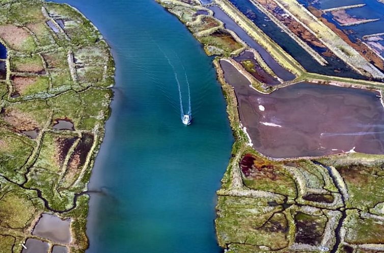 Vakantiehuis in Arvert - Ronce-Les-bains