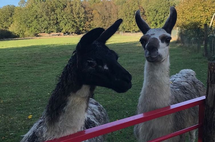 Vakantiehuis in Savigny Levescault