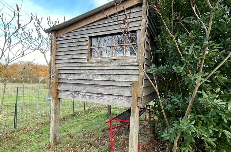 Vakantiehuis in Savigny Levescault