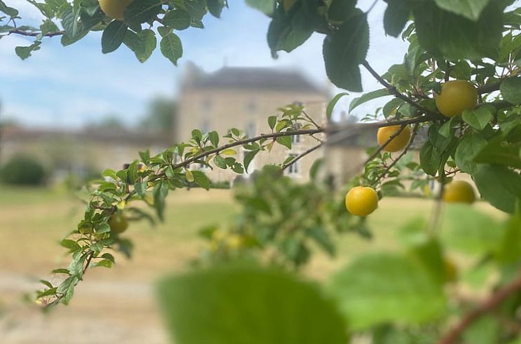 Vakantiehuis in Journet