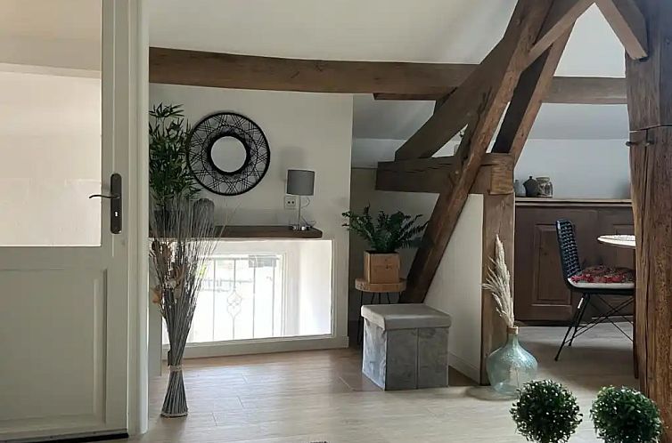 Ruim appartement met terras &amp; tuin