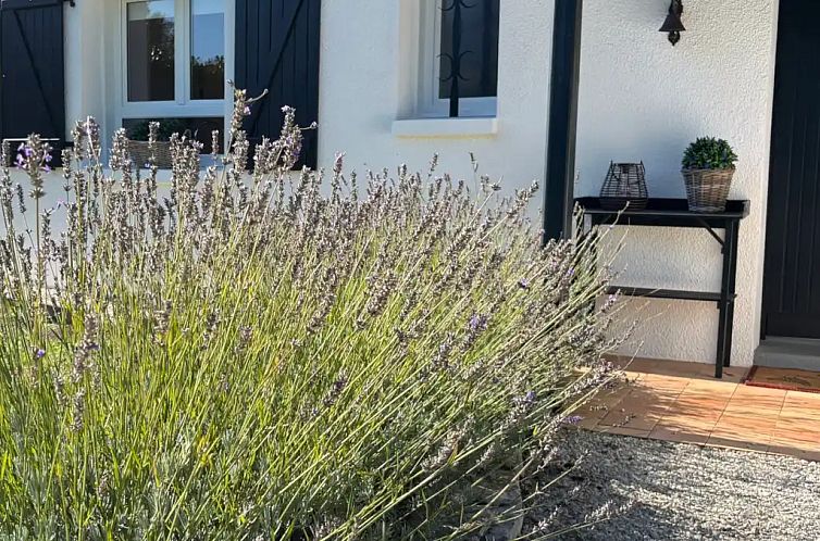 Village le Chat Magnolia 172 (AIRCO)