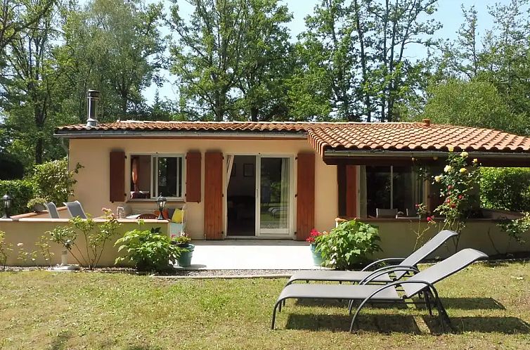 Village Le Chat 23