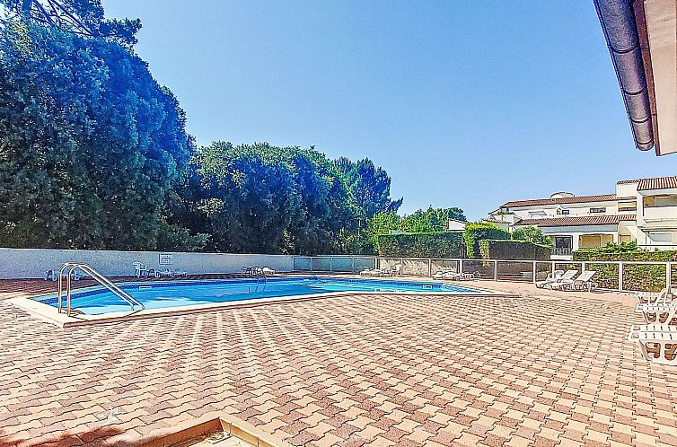Appartement l'Oasis