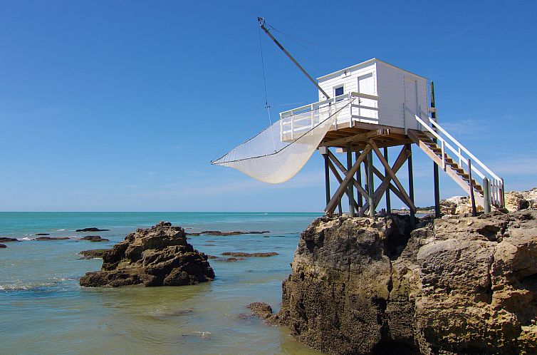 Appartement Bleu Marine