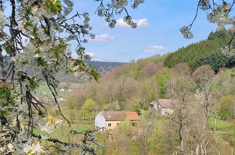 Huisje in Le Val d'Ajol