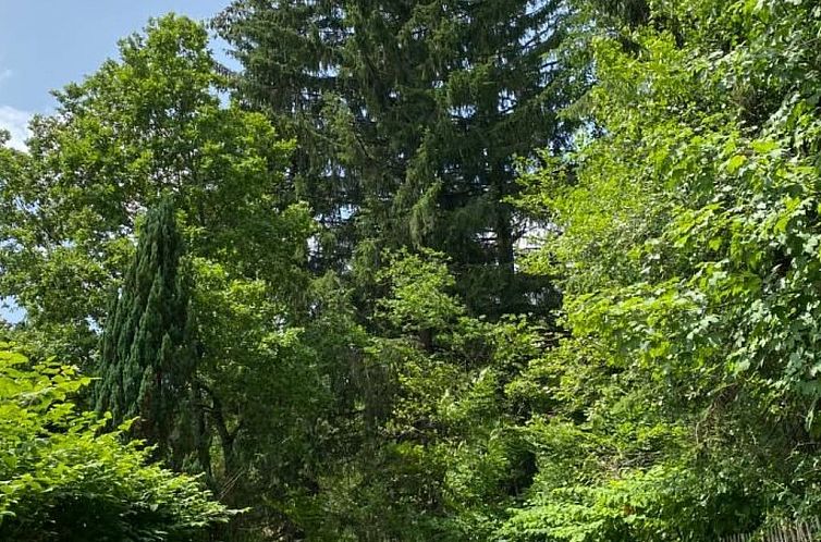Vakantiehuis in Ventron mit eingezäuntem Garten