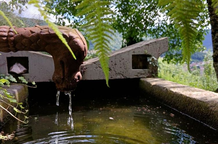 Vakantiehuis in Ventron mit eingezäuntem Garten