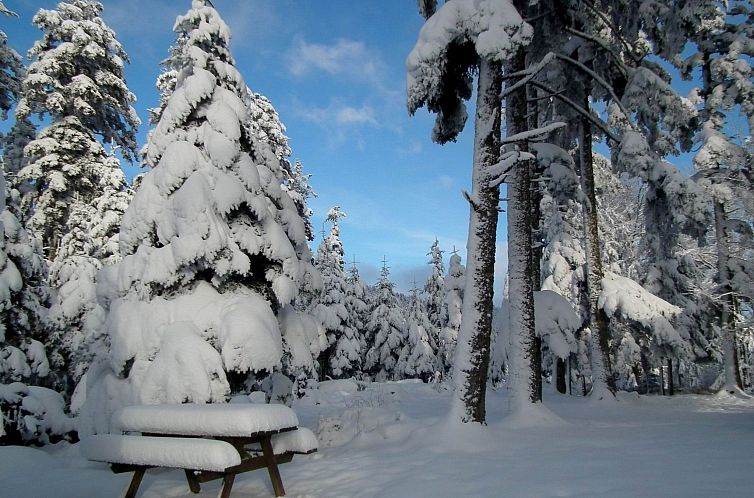 Vakantiehuis Das Gîte Fleuri mit einer herrlichen Aussicht