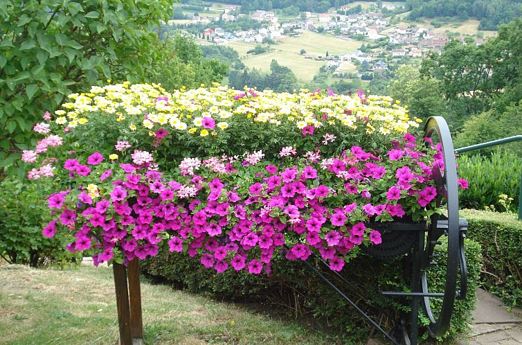 Vakantiehuis Das Gîte Fleuri mit einer herrlichen Aussicht