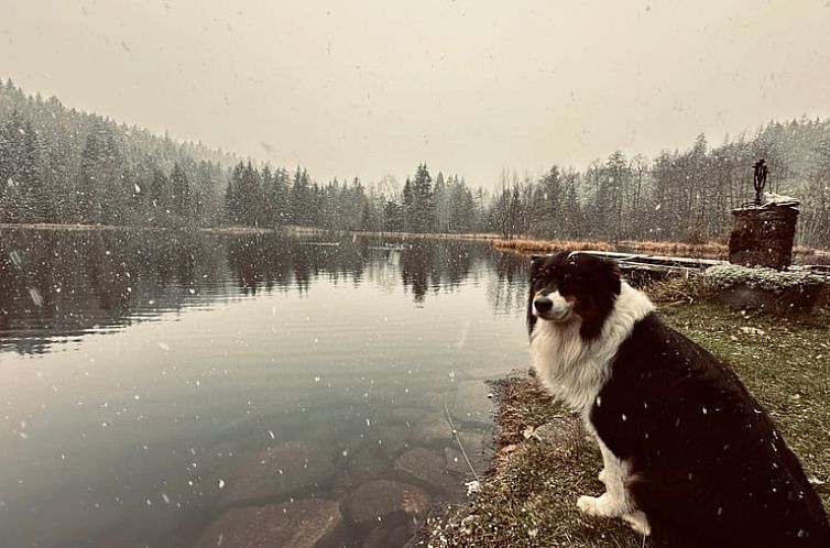 Huisje in Rupt sur moselle