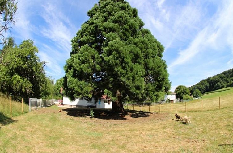 Vakantiehuisje in Granges-Aumontzey
