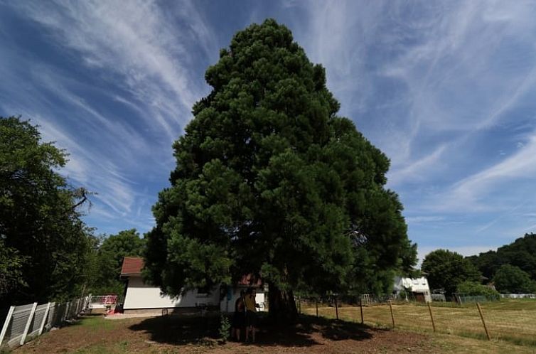 Vakantiehuisje in Granges-Aumontzey