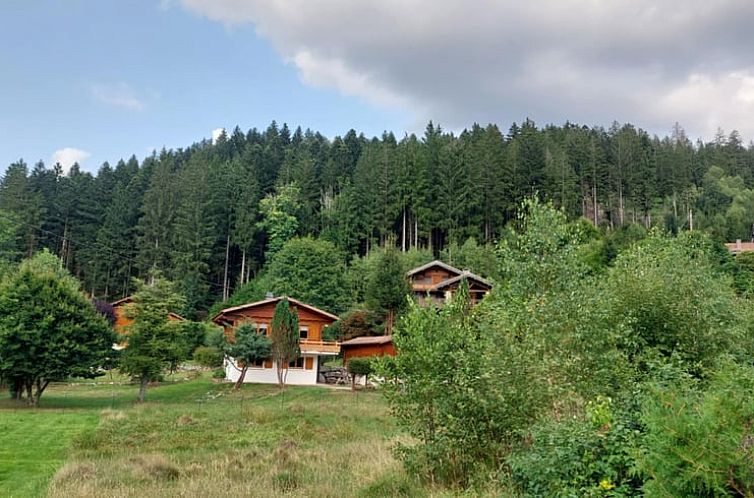 Vakantiehuisje in GERARDMER