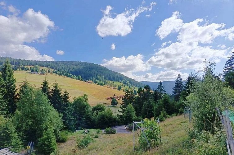 Vrijstaande woning in Gérardmer