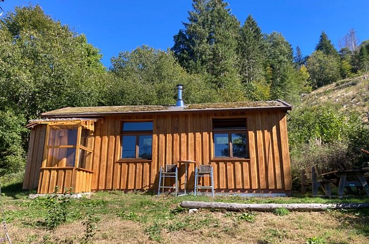 Laendliches Ferienhaus in Bussang, Frankreich, mit schoener Aussicht auf die gruene Umgebung.