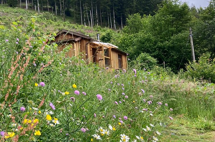 Vakantiehuis in Bussang