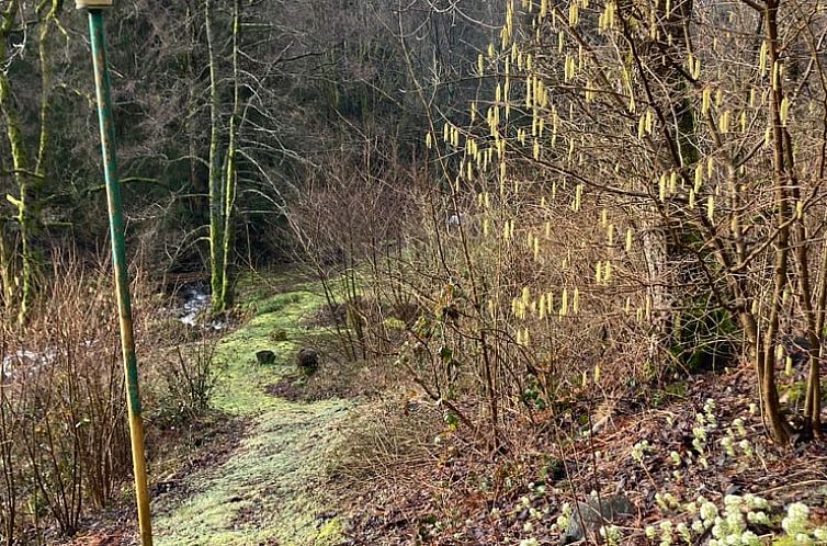 Vakantiehuis in Bussang