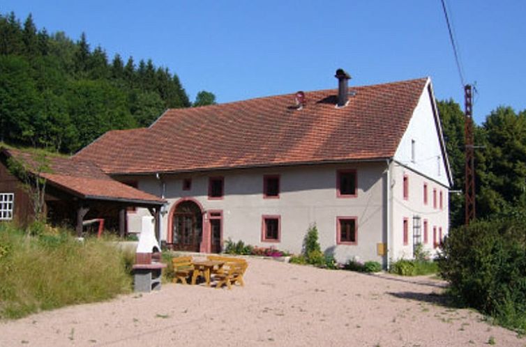 Vakantiehuis Huisje in Plainfaing, gelegen in het schilderachtige Lotharingen, Frankrijk, met een uitnodigende landelijke stijl.