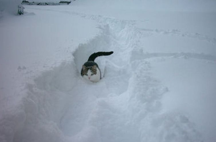 Huisje in Plainfaing