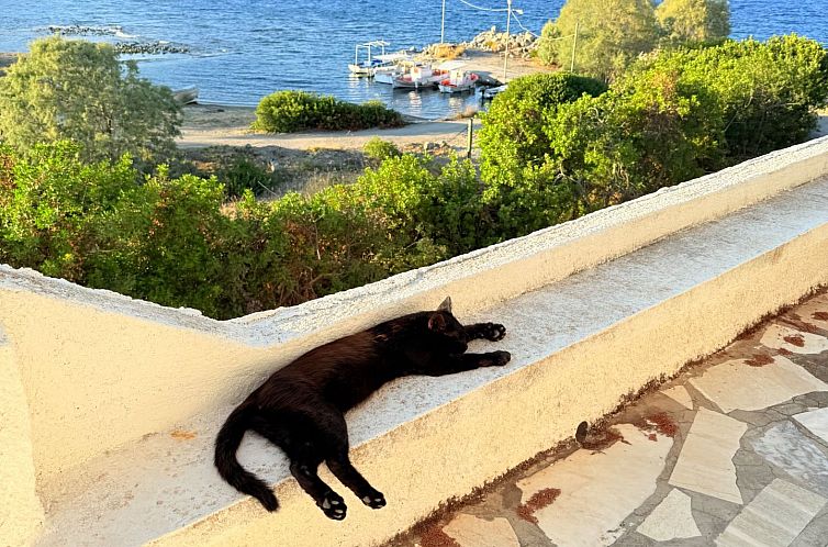 Geschakelde woning in Aegina