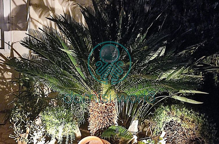 Appartement in Evryali