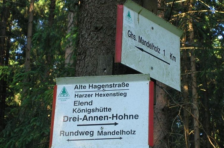 Hotel Grüne Tanne Mandelholz