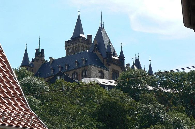 Hotel Grüne Tanne Mandelholz