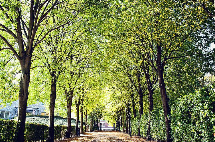 Vakantiehuis in Hombourg