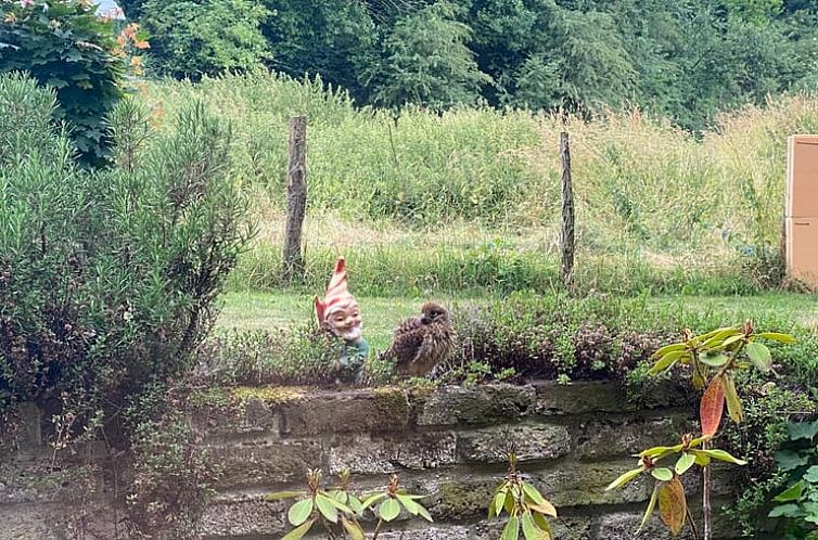 Vakantiehuisje in Hombourg - Plombières