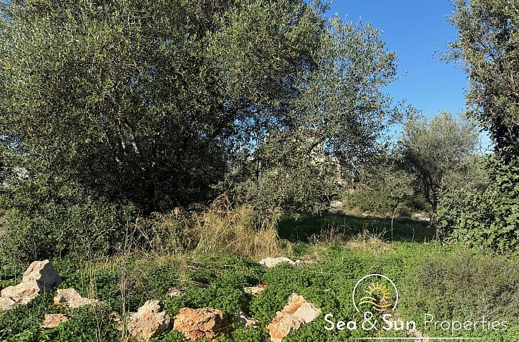 Kavel in Akrotiri