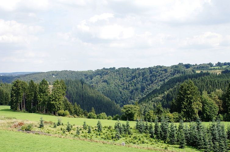 Zevenster