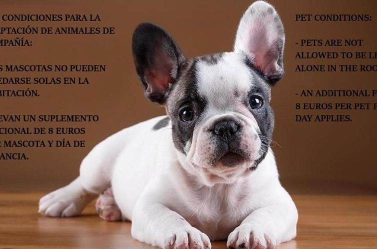 Las Abadías