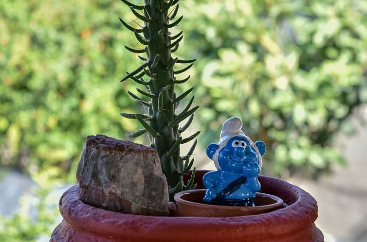 Appartement Gorgona Apt - Ihr Traum-1-BDR-Ferienhaus