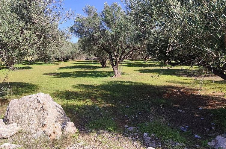 Kavel in Agios Nikolaos, Vathi