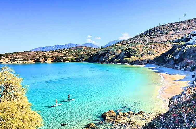 Vakantiehuis Canes Maxima Suite Privater Pool