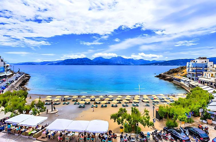 Vakantiehuis Canes Maxima Suite Privater Pool