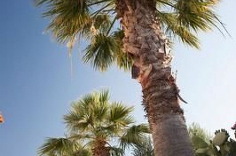 Appartement Wohnung Michalis in Agios Nikolaos mit Balkon