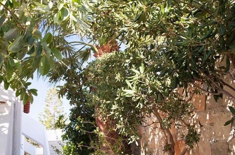 Appartement Wohnung mit Pool im Blumenparadies