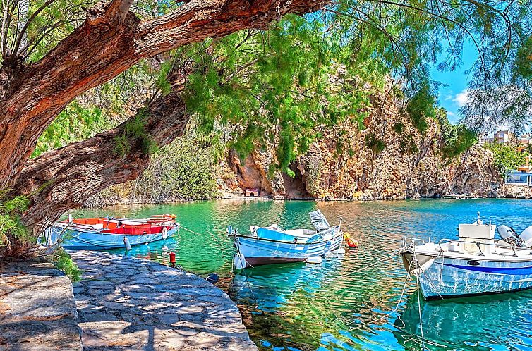 Vakantiehuis Olivengrüne Villa mit privatem beheiztem Pool