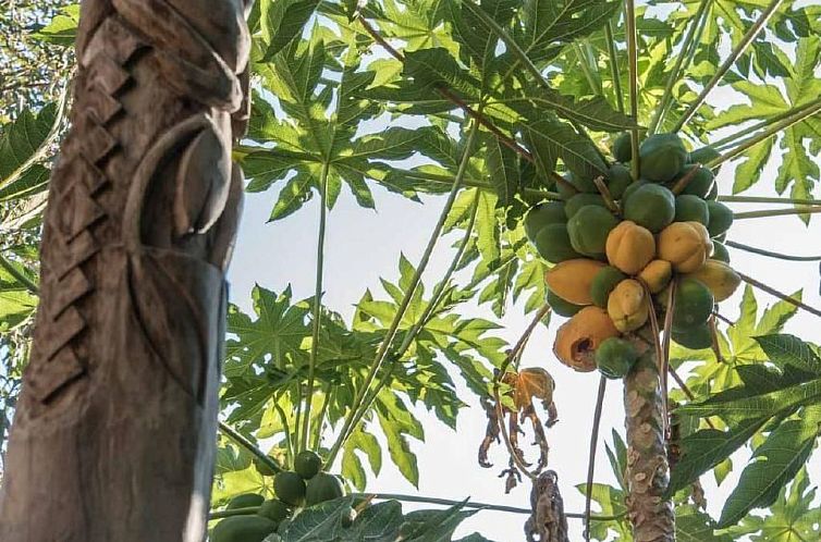 Vakantiehuis Spiti Papaya