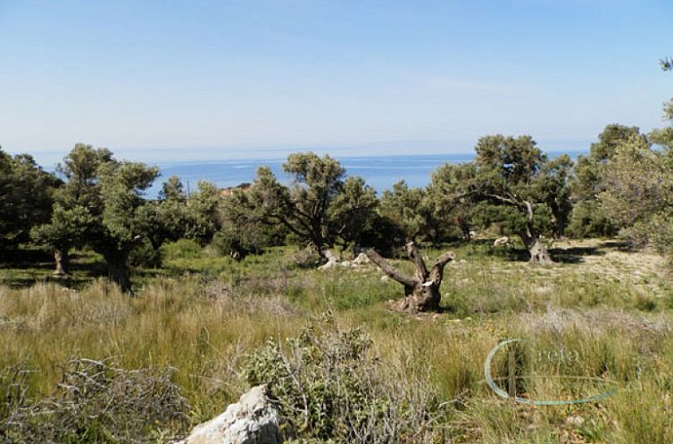 Kavel in Agia Paraskevi