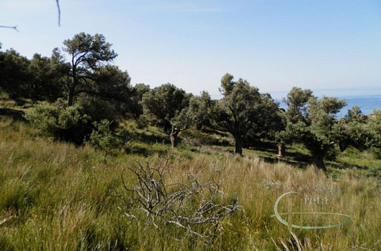 Kavel in Agia Paraskevi