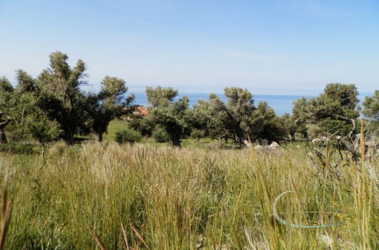 Kavel in Agia Paraskevi