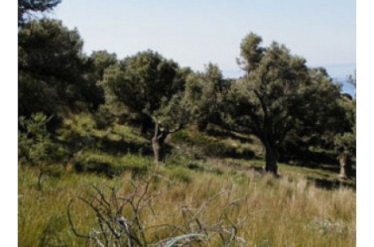 Kavel in Agia Paraskevi