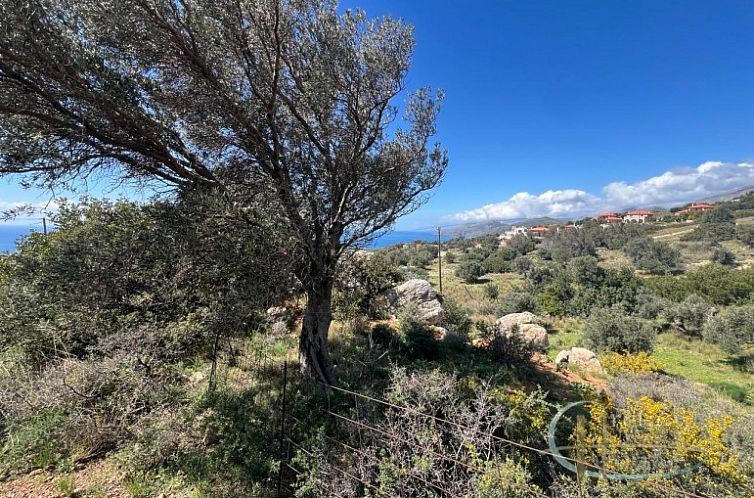 Unterkunft 06213708 - Ferienhaus Kreta - Kavel in Agia Paraskevi