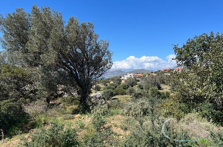 Kavel in Agia Paraskevi