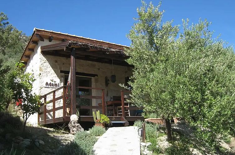 Kalyvitis Cottage in de olijfgaard 2