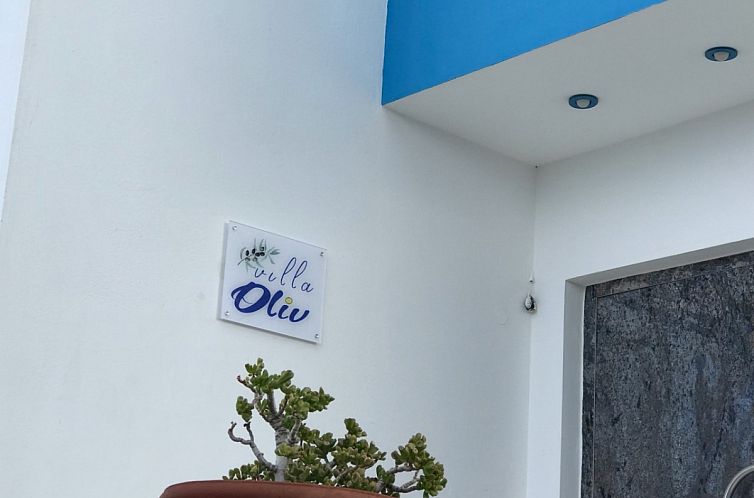 Vrijstaande woning in Skaleta