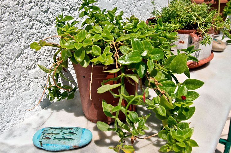 Appartement Wohnung mit Meerblick, Kreta, Ierapetra